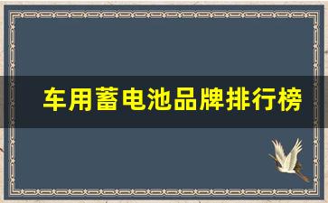 车用蓄电池品牌排行榜