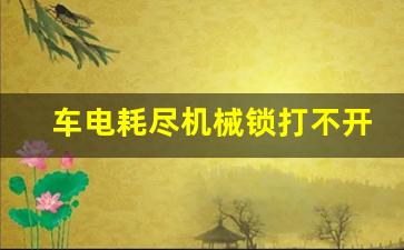 车电耗尽机械锁打不开,引擎盖打不开怎么搭电