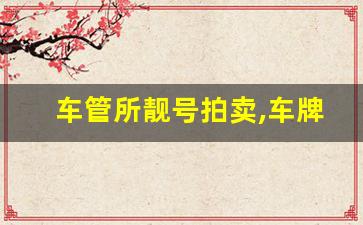 车管所靓号拍卖,车牌50选1技巧,开始就停