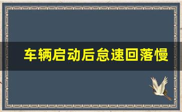 车辆启动后怠速回落慢,原地怠速不能超过多久