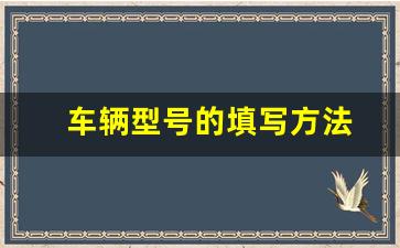 车辆型号的填写方法