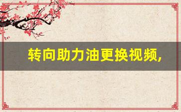 转向助力油更换视频,转向助力油根本不用换