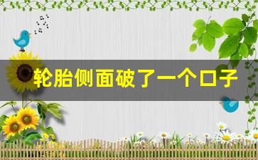 轮胎侧面破了一个口子能补吗,轮胎侧面5毫米深口子