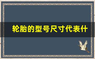 轮胎的型号尺寸代表什么