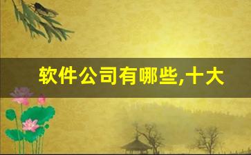 软件公司有哪些,十大软件公司介绍