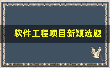 软件工程项目新颖选题