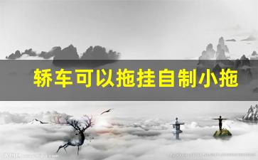 轿车可以拖挂自制小拖车,c1能拖挂700kg以下拖车吗