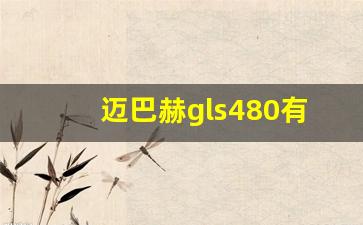 迈巴赫gls480有脱困模式吗,奔驰480报价及图片