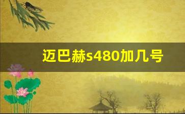 迈巴赫s480加几号油,奔驰多少以上叫迈巴赫