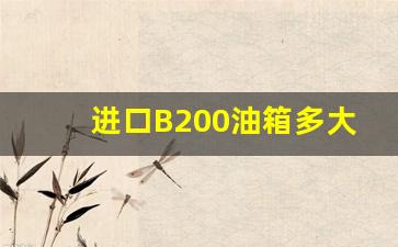 进口B200油箱多大