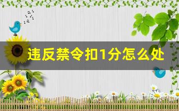 违反禁令扣1分怎么处理,外地车在北京违反禁令标志指示