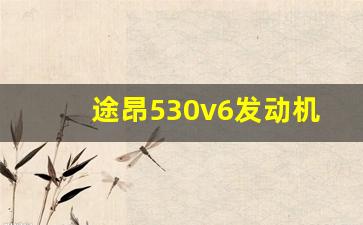 途昂530v6发动机是进口的吗,揽境380发动机通病