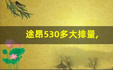 途昂530多大排量,大众途昂530是电混的吗