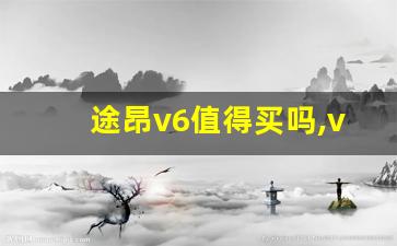 途昂v6值得买吗,v6一般是什么档次的车