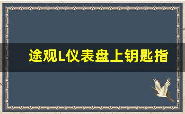 途观L仪表盘上钥匙指示灯亮,途观L液晶仪表盘看起来眼花