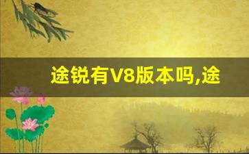 途锐有V8版本吗,途锐老途锐与新途锐