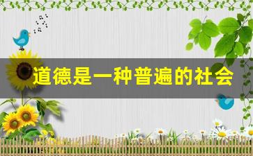 道德是一种普遍的社会现象对不对,道德仅仅依靠社会舆论而发生作用