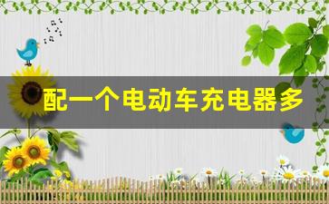 配一个电动车充电器多少钱,60v充48v电瓶偶尔一次可以吗