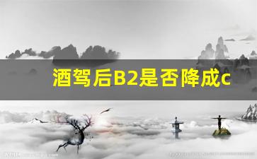 酒驾后B2是否降成c1证,醉驾2023年新规放宽