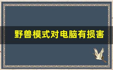 野兽模式对电脑有损害吗