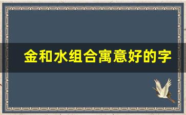 金和水组合寓意好的字开店用,带水带金聚财公司名字