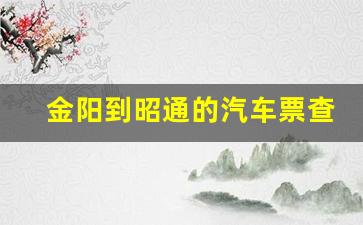 金阳到昭通的汽车票查询