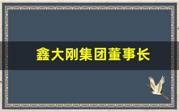 鑫大刚集团董事长