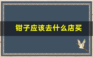 钳子应该去什么店买