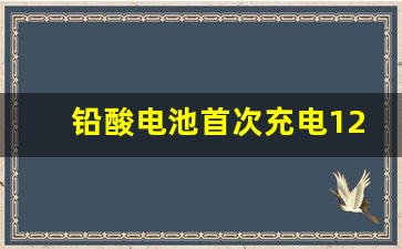 铅酸电池首次充电12小时激活