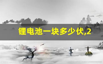 锂电池一块多少伏,240安锂电池能跑多远