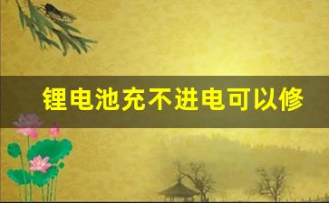 锂电池充不进电可以修复吗,锂电池低压保护后充不进电