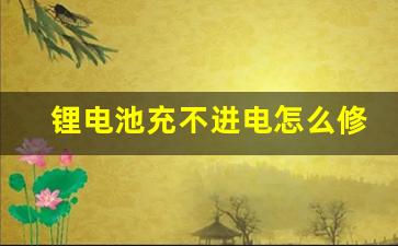 锂电池充不进电怎么修复,重新激活锂电池最简单的方法