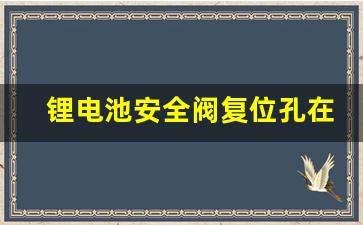 锂电池安全阀复位孔在哪