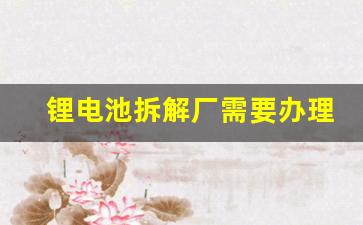 锂电池拆解厂需要办理什么