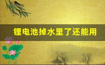 锂电池掉水里了还能用吗,锂电进水几天能恢复正常