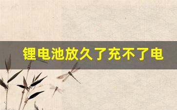 锂电池放久了充不了电怎么办