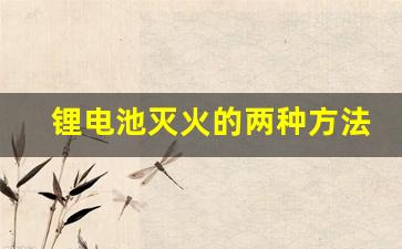 锂电池灭火的两种方法,锂电池着了能用水灭火吗