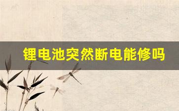 锂电池突然断电能修吗,锂电池坏了到哪维修