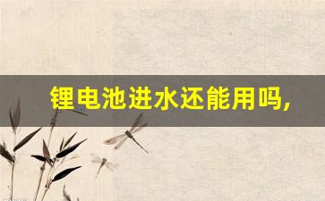 锂电池进水还能用吗,锂电池被雨淋了会怎么样