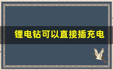 锂电钻可以直接插充电器用吗