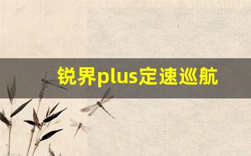 锐界plus定速巡航图解