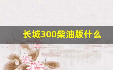 长城300柴油版什么时候上市,长城柴油车有哪些车型