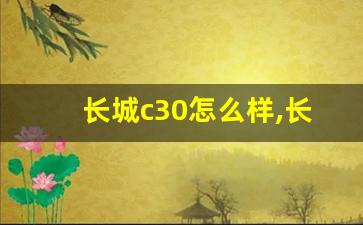 长城c30怎么样,长城c30这车怎么样