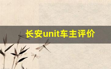 长安unit车主评价