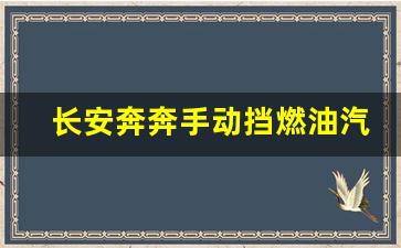 长安奔奔手动挡燃油汽车,长安奔奔2.98万