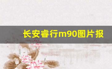 长安睿行m90图片报价,睿行m90油气两用多少钱