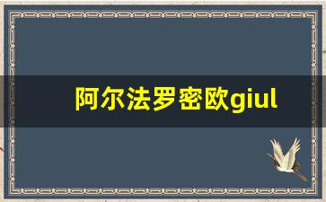 阿尔法罗密欧giulia二手