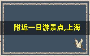 附近一日游景点,上海周边旅游景点