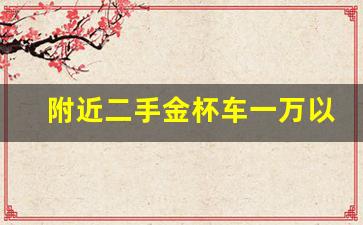 附近二手金杯车一万以下,二手小货车3.8米1万左右