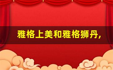 雅格上美和雅格狮丹,雅格上美同档次的品牌